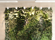 Giardino verticale presso Associazione Portofranco – Milano